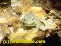 /home//u458753944/public_html/sourcegallery////McKaig Nature Center/2024-09-29/P9291602.JPG